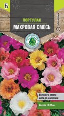 Семена Тимирязевский питомник цветы статица Радужная смесь 0,1 г